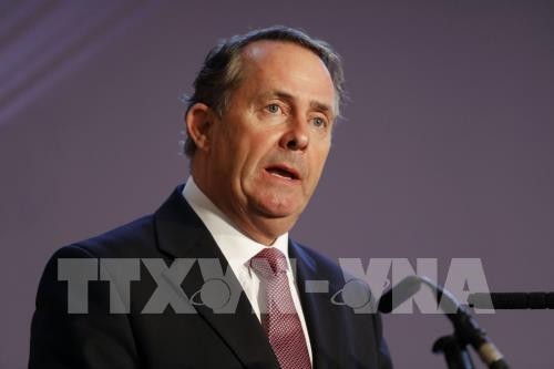 Liam Fox warns UK cannot be 'blackmailed' over Brexit bill - ảnh 1