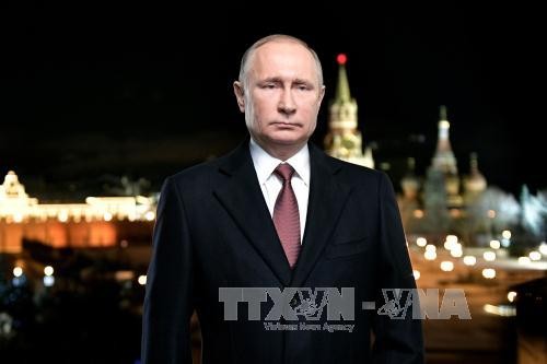 Poll says Putin likely to win presidential race - ảnh 1