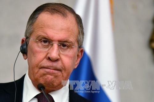Syrian ceasefire possible if all parties come to terms: Russian FM - ảnh 1