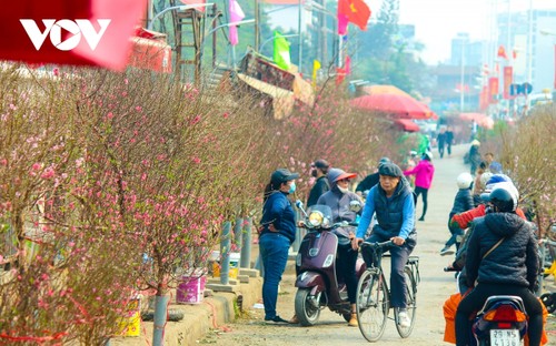 Bustling flower market ahead of Lunar New Year holiday - ảnh 2