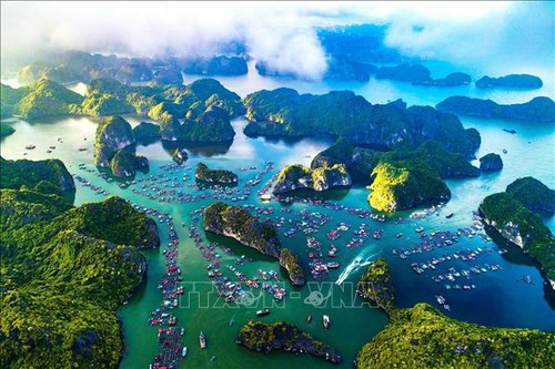 Ha Long Bay-Cat Ba Archipelago to seek world heritage recognition - ảnh 1
