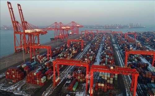 WTO raises global trade volume forecast - ảnh 1
