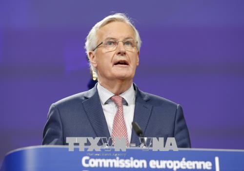 Brexit: le risque d'absence d'accord “n'est pas à sous-estimer”, prévient Barnier - ảnh 1
