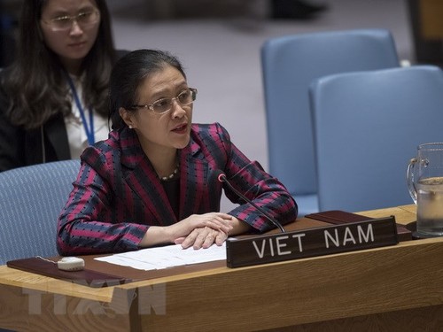 Le Vietnam appelle l’ONU à régler le conflit israélo-palestinien - ảnh 1