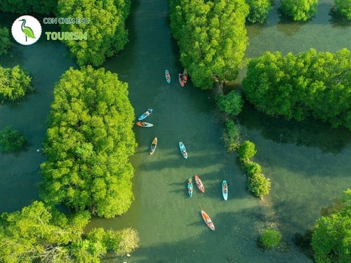 La zone écologique de Côn Chim - le joyau vert de Binh Dinh - ảnh 7