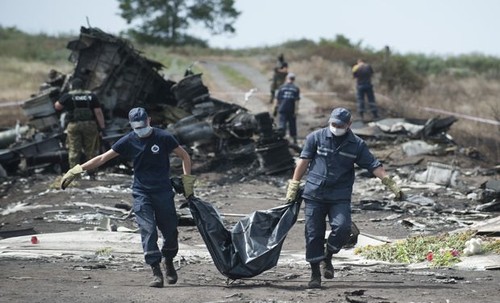 Netherlands not to deploy armed troops to the scene of fallen MH17 - ảnh 1