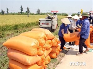 Vietnam, Ireland cooperate in agriculture - ảnh 1