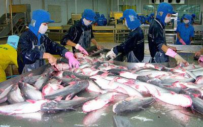  Forum on Vietnam catfish exports to EU opens in Brussels - ảnh 1