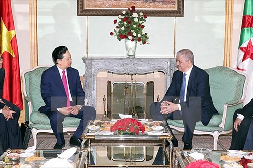 Vietnam, Algeria seek to increase bilateral trade to 1 billion USD - ảnh 1