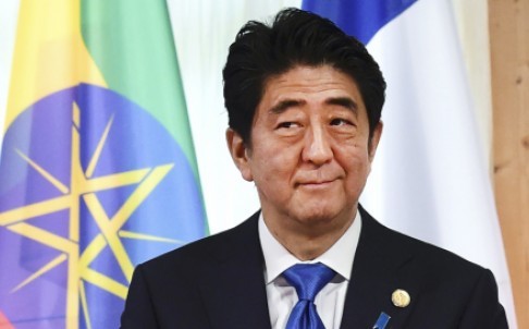 Japan boosts G7 ties - ảnh 1