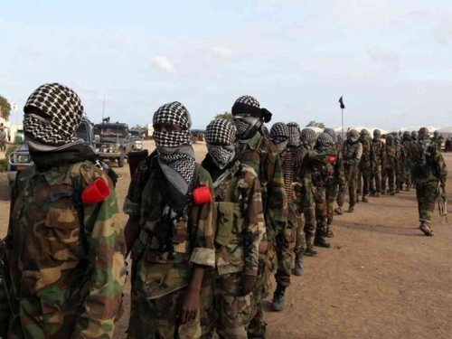 US airstrikes kill 12 Al-Shabab militants in Somalia - ảnh 1