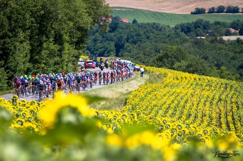 Tour de France - the world's most famous bicycle race - ảnh 4