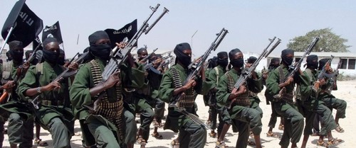 Somali sketches new strategies to fight Al-Shabaab - ảnh 1