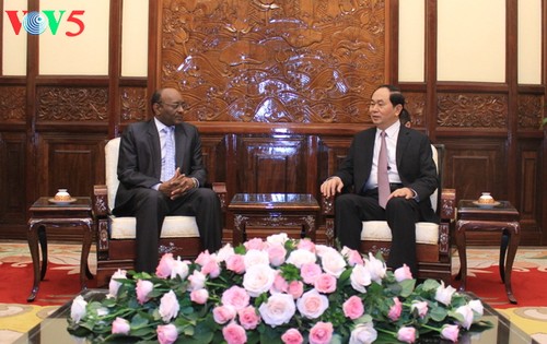Vietnam, Sudan strive to tap cooperation potential - ảnh 1