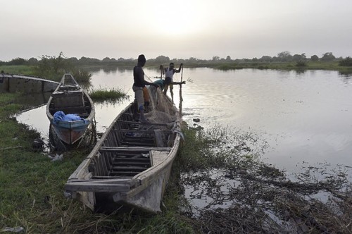 Boko Haram kill 31 fishermen in Nigeria - ảnh 1