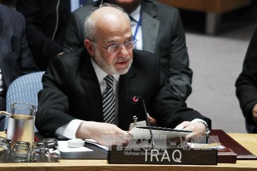 Iraq never allows US bases on its soil: FM - ảnh 1
