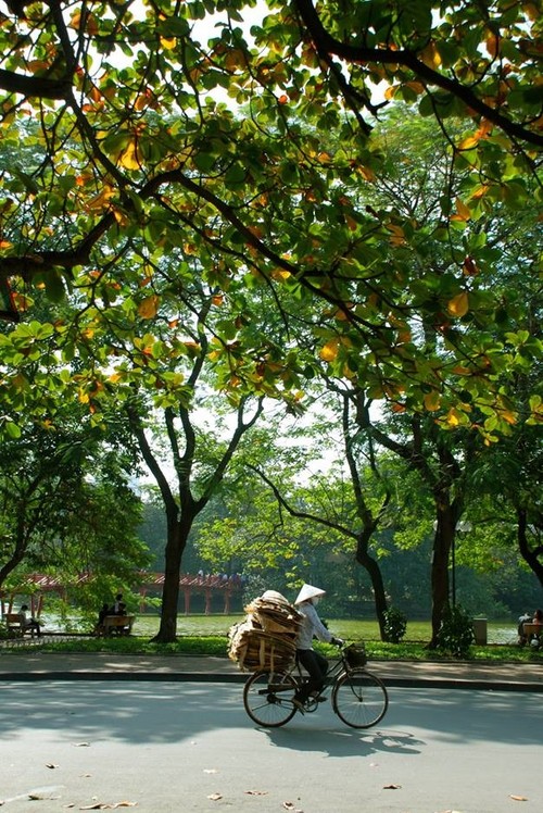 Autumn in Hanoi - ảnh 2
