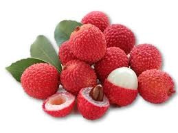  Vietnamese fresh lychee to Japan sold out in 24 hours - ảnh 1