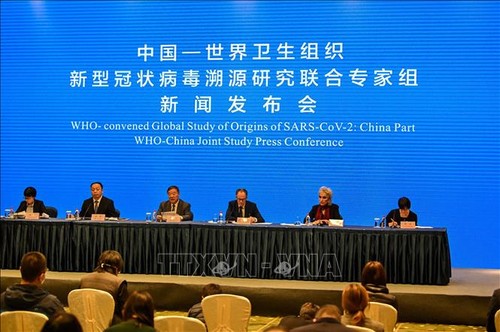 WHO: No evidence of COVID-19 outbreaks in Wuhan before December 2019 - ảnh 1