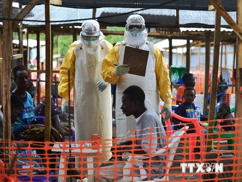 ສປຊ ຈະ“ສວມບົດບາດ ທີ່ແຮງກ່ວາ“ ເພື່ອ ດັບສູນໂລກລະບາດ Ebola - ảnh 1