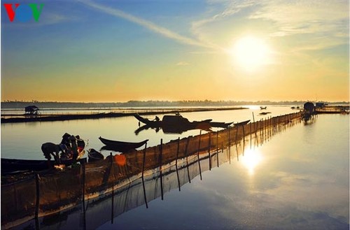 Die romantische Landschaft der Tam Giang Lagune - ảnh 12