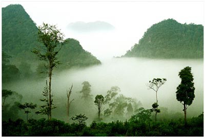 Der Nationalpark Xuan Son in Phu Tho - ảnh 1