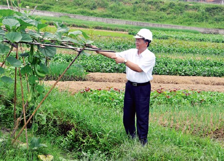 Effektivität der vierseitigen Kooperation in Quang Yen - ảnh 1