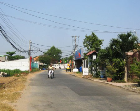 Änderungen nach drei Jahren der Neugestaltung ländlicher Räume in der Region Ho Chi Minh Stadt - ảnh 1