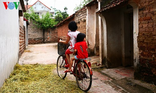 Erntezeit im traditionellen Dorf Duong Lam - ảnh 16