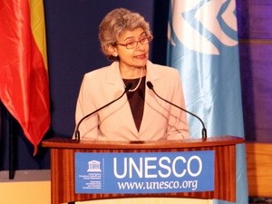 UNESCO würdigt die Rolle der Behinderten beim Naturkatastrophenschutz - ảnh 1