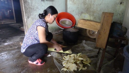Ninh Moc Sau entkam die Armut durch Zucht der Wildschweine - ảnh 3