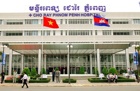 Premierminister Nguyen Tan Dung zu Gast in Kambodscha - ảnh 3