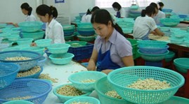 Vietnam ist der weltweit größte Cashewnüsse-Exporteur in den vergangenen acht Jahren - ảnh 1