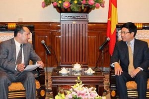 Politische Konsultation zwischen Vietnam und Usbekistan - ảnh 1