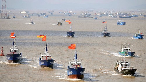 Chinesische Boote betreiben illegalen Fischfang im südkoreanischen Meeresgebiet - ảnh 1