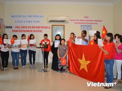 Auslandsvietnamesen verteidigen entschiedend Souveränität des Landes  - ảnh 1