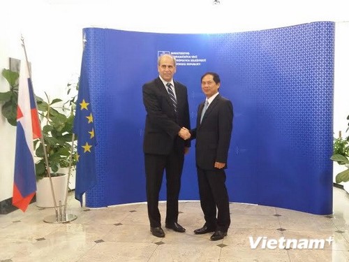 Slowakei will die Zusammenarbeit in allen Bereichen mit Vietnam verstärken - ảnh 1