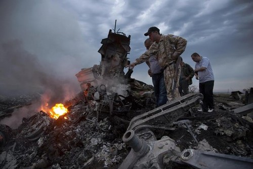 Ein malaysisches Flugzeug mit rund 300 Menschen ist in Ostukraine abgestürzt - ảnh 1
