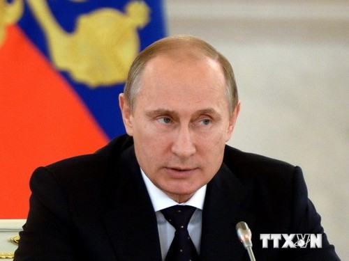Putin: Der Flugzeugabsturz in der Ukraine darf nicht für politische Ziele missgebraucht werden - ảnh 1