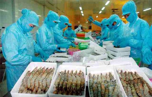 Der vietnamesische Garnelen-Export erreicht positives Wachstum - ảnh 1