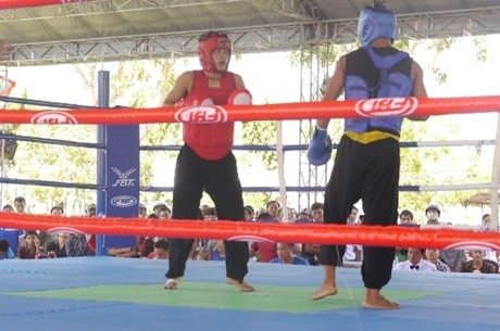 Abschluss der Kungfu-Meisterschaft in Binh Dinh - ảnh 1