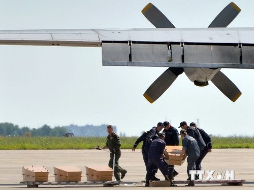 Niederlande identifizieren weitere 42 Opfer des Flugs MH17 - ảnh 1