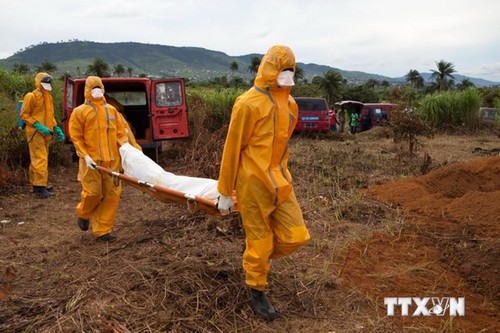 UN-Generalsekretär fordert 20 Mal mehr Ebola-Hilfe als bislang zugesagt - ảnh 1