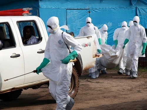 Ebola-Epidemie verhindern: schwierige Aufgabe - ảnh 1