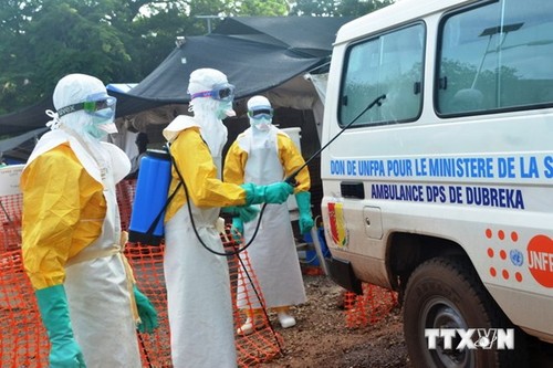 Noch langer Weg bis zur Eindämmung der Ebola-Epidemie - ảnh 1