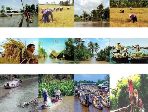 Zusammenarbeit der Provinzen durch Wirtschaftsforum für Mekong-Delta - ảnh 1