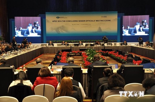 Abschluss der Konferenz der hochrangigen APEC-Beamte  - ảnh 1