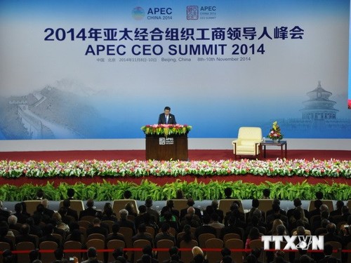China: Pressekonferenz zum Abschluss des APEC-Gipfels  - ảnh 1
