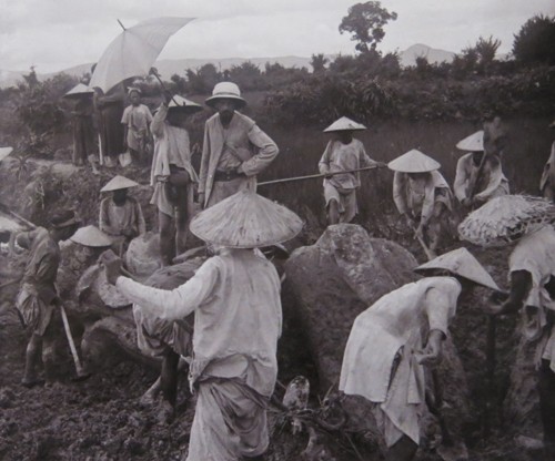 Vietnam im 20. Jahrhundert: eine Fotoausstellung des französischen Instituts für Fernost  - ảnh 3