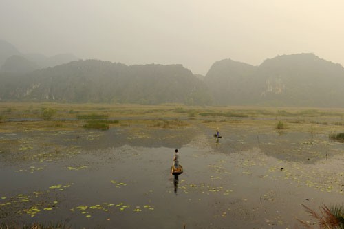 Genuss der unberührten Landschaft im Naturreservat Van Long - ảnh 2